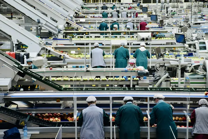 IFS Food версия 8