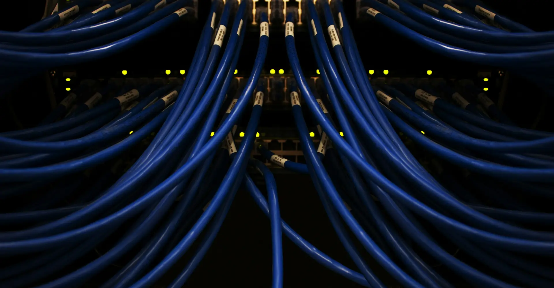 Network cables connected to a switch in a server room